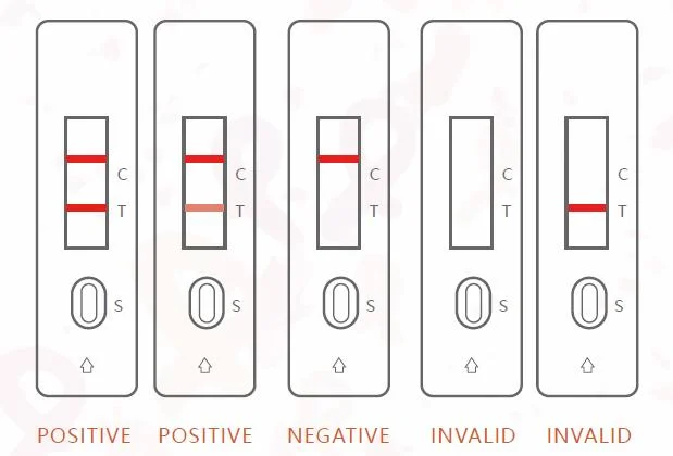 on-Site Drug Testing One-Step Operation Singclean Rapid HIV Test Kit