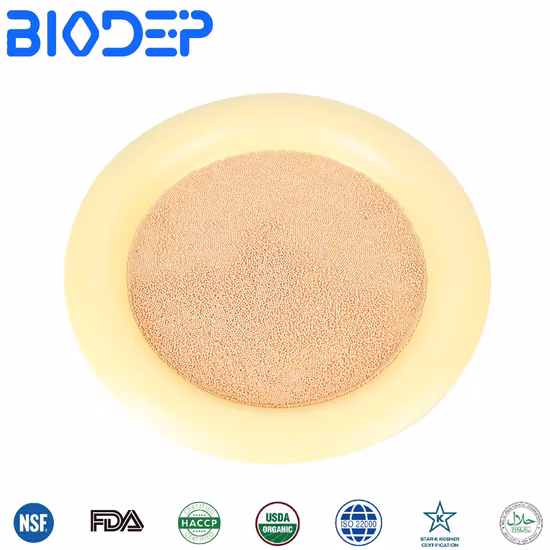 Hochwertiges und stabiles probiotisches Lactobacillus Casei