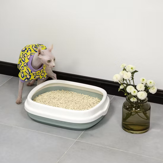 Köstliches und gesundes Hundefutter, Zahnbürstenprodukte für den Hund, die besten Hundeleckerlis, saubere Zähne, Ernährung, Zahnbürste, Zahnpflege